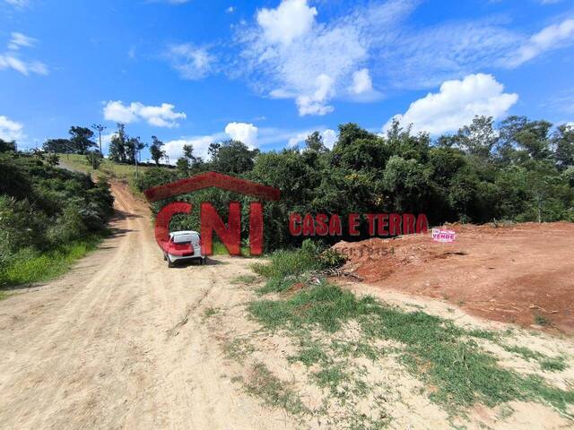 Terreno para Venda em Siqueira Campos - 4