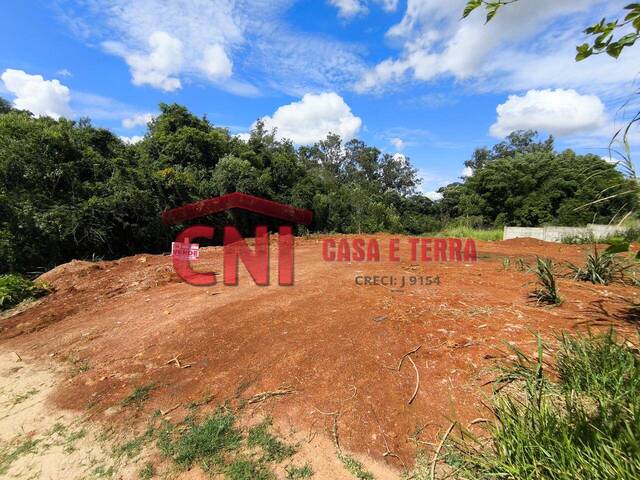 Terreno para Venda em Siqueira Campos - 2