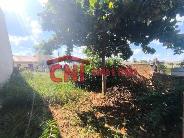 Terreno para Venda em Siqueira Campos - 4