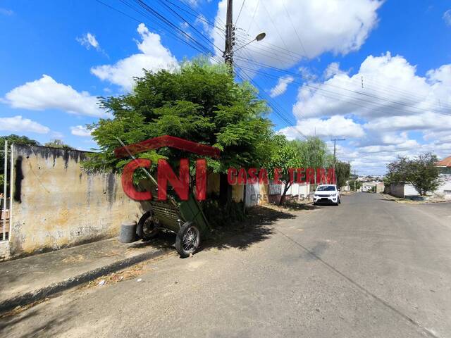 #3948 - Terreno para Venda em Siqueira Campos - PR - 2