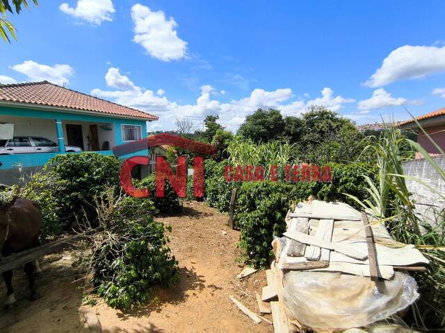 Terreno para Venda em Siqueira Campos - 4