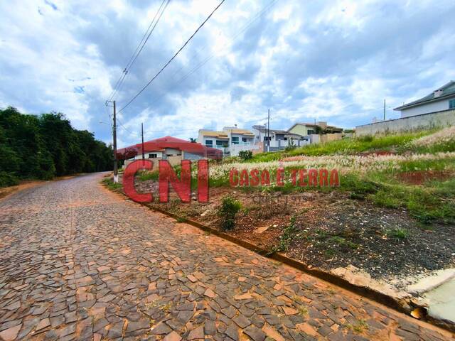 Terreno para Venda em Siqueira Campos - 4
