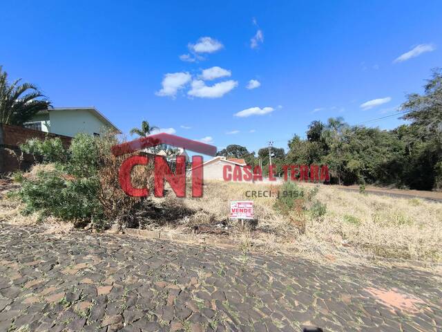 Terreno para Venda em Siqueira Campos - 4