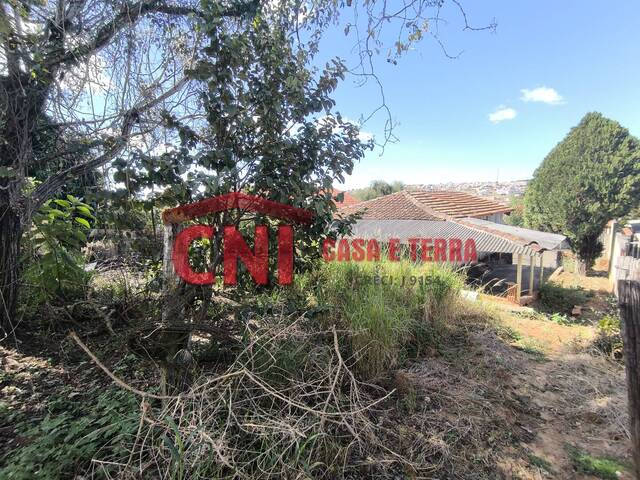 Terreno para Venda em Siqueira Campos - 4