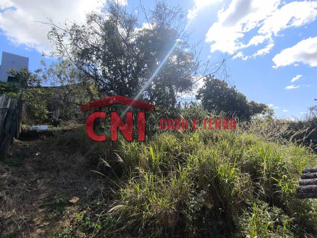 Terreno para Venda em Siqueira Campos - 5