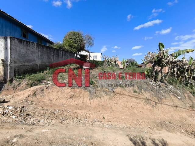 #3947 - Terreno para Venda em Siqueira Campos - PR - 3
