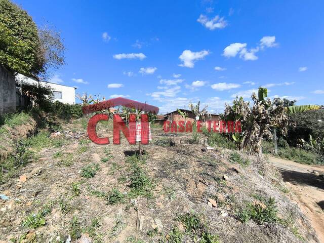 #3947 - Terreno para Venda em Siqueira Campos - PR - 1