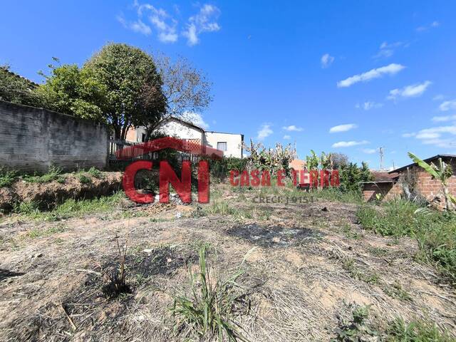 Terreno para Venda em Siqueira Campos - 5