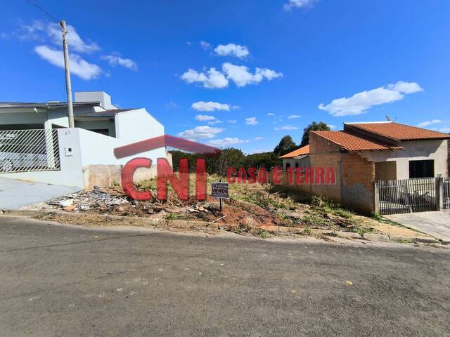 #3975 - Terreno para Venda em Siqueira Campos - PR - 1