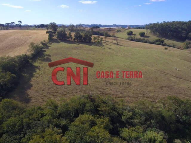 Sítio para Venda em Siqueira Campos - 4