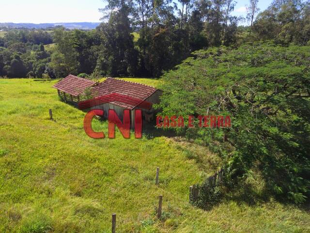 Sítio para Venda em Siqueira Campos - 5