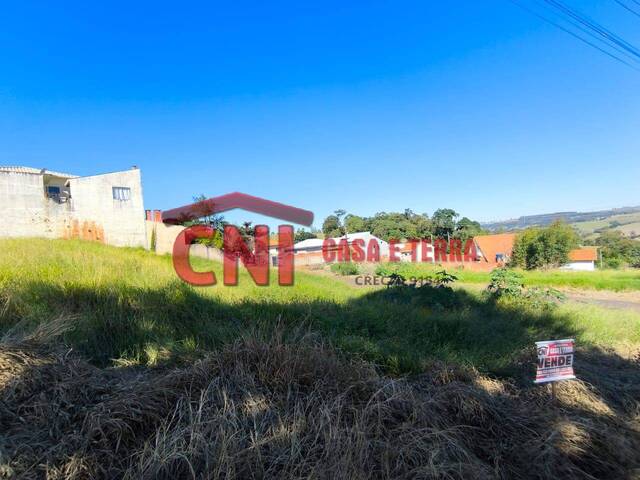 #3958 - Terreno para Venda em Siqueira Campos - PR - 2
