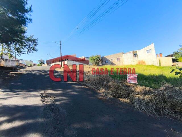 Terreno para Venda em Siqueira Campos - 5