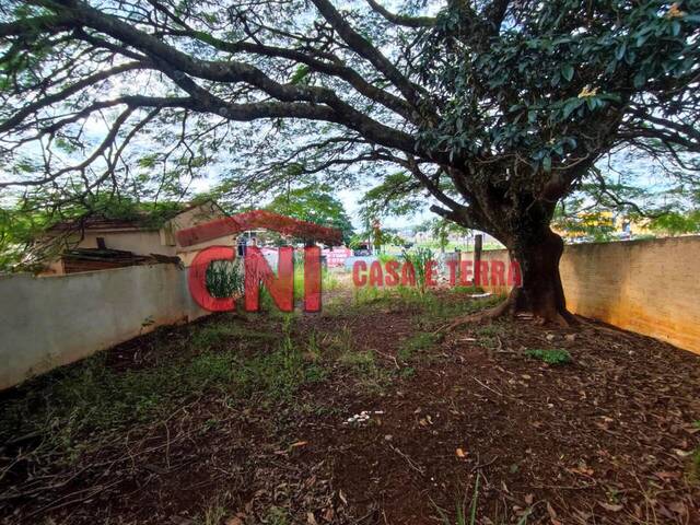 Terreno para Venda em Siqueira Campos - 4