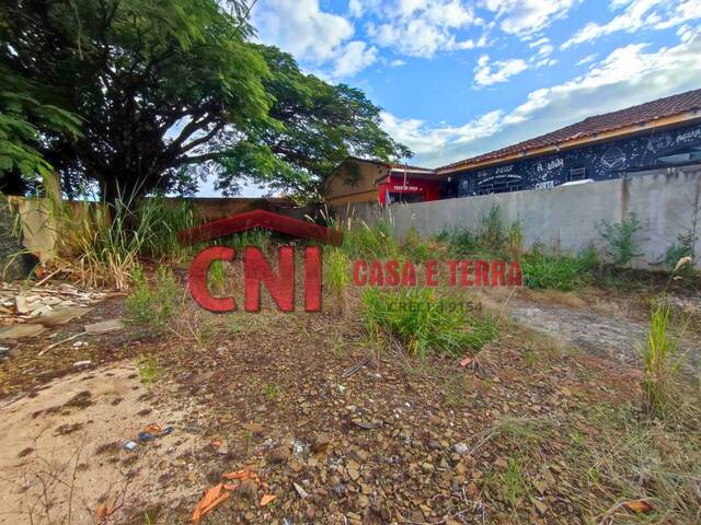 Terreno para Venda em Siqueira Campos - 5
