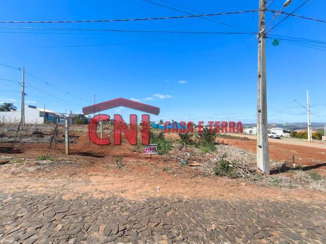 Terreno para Venda em Siqueira Campos - 4