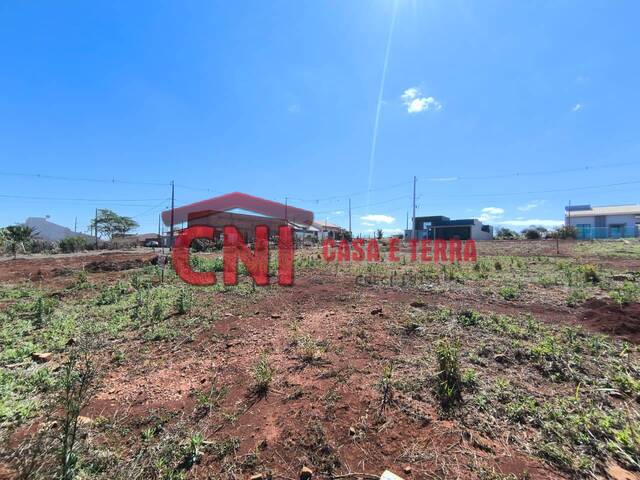 Terreno para Venda em Siqueira Campos - 4