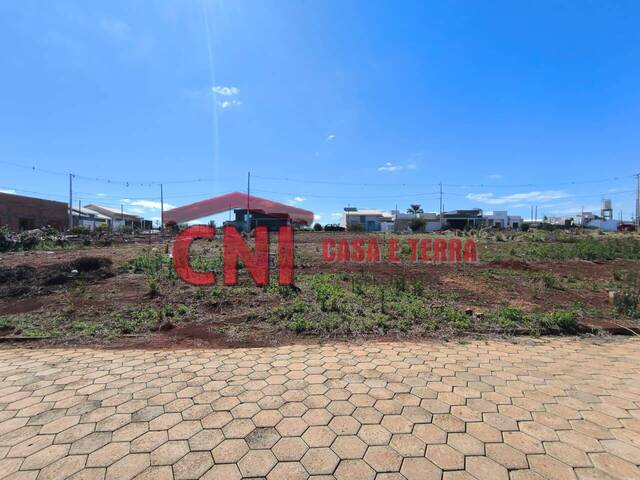 #3997 - Terreno para Venda em Siqueira Campos - PR - 1