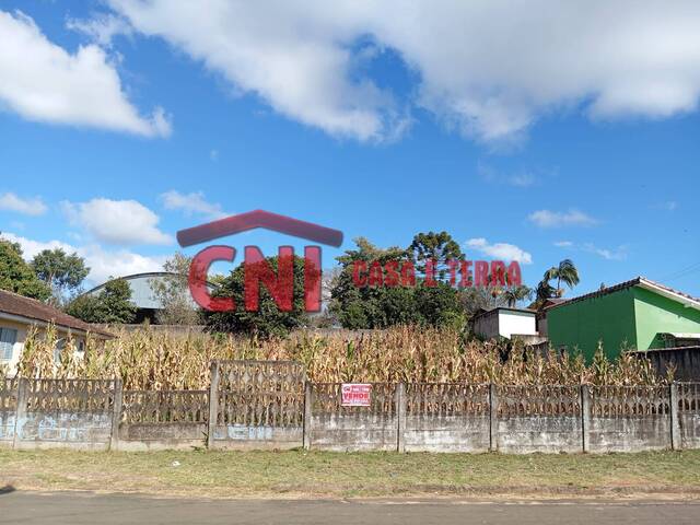 #4001 - Área para Venda em Arapoti - PR - 1