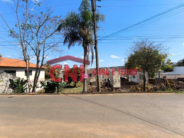 Terreno para Venda em Siqueira Campos - 2