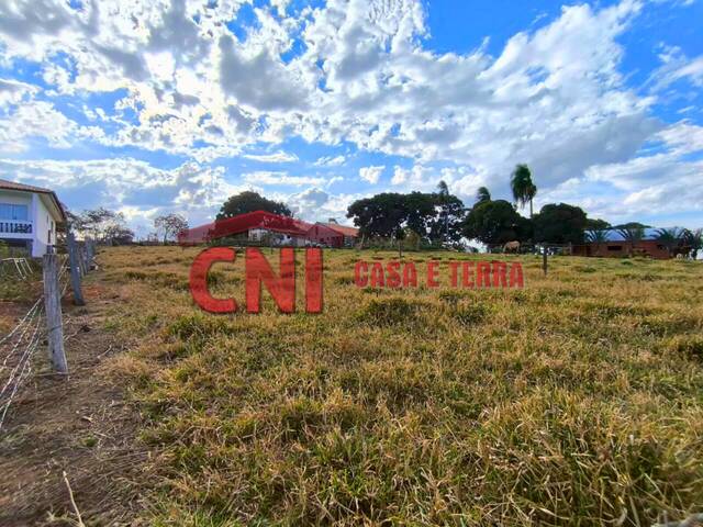#4030 - Terreno para Venda em Siqueira Campos - PR - 3