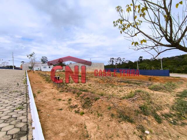 #4032 - Terreno para Venda em Siqueira Campos - PR - 3