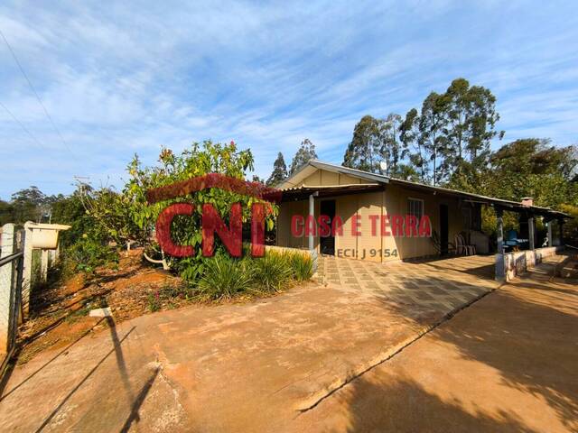 Chácara para Venda em Siqueira Campos - 4