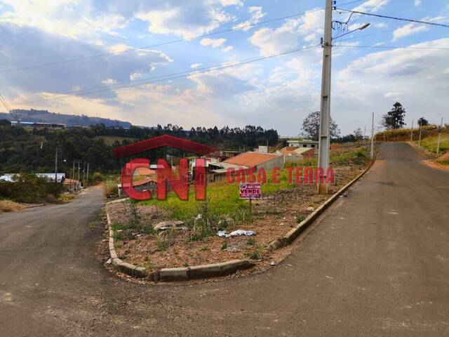 Terreno para Venda em Siqueira Campos - 4
