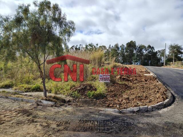 #4042 - Terreno para Venda em Quatiguá - PR - 3