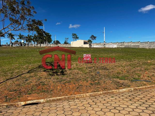 Terreno para Venda em Siqueira Campos - 5