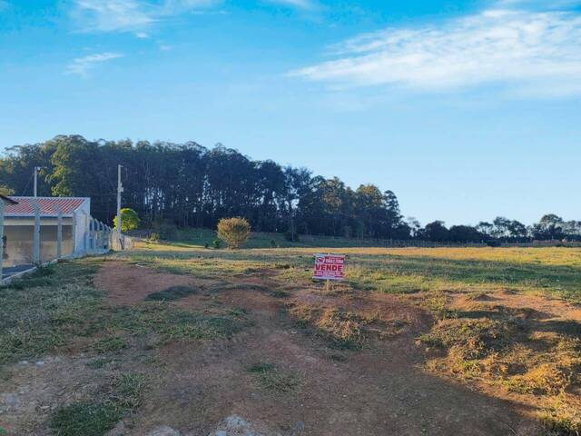 #4054 - Terreno para Venda em Siqueira Campos - PR - 1