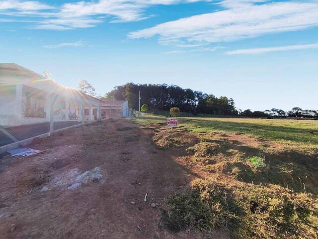 Terreno para Venda em Siqueira Campos - 4