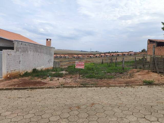 #4096 - Terreno para Venda em Siqueira Campos - PR - 1