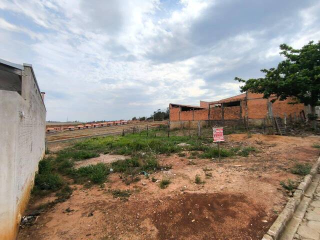 Terreno para Venda em Siqueira Campos - 4