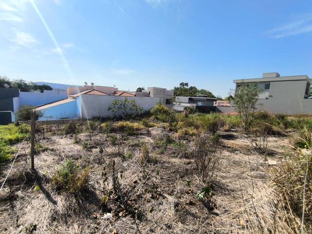 Terreno para Venda em Siqueira Campos - 5