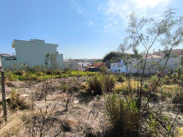 Terreno para Venda em Siqueira Campos - 4