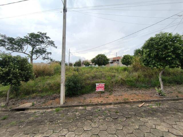 Venda em Cruzeiro - Siqueira Campos