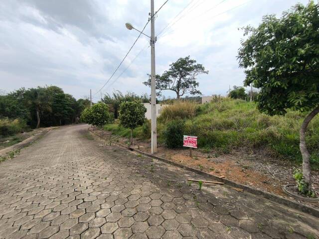 #4099 - Terreno para Venda em Siqueira Campos - PR - 3