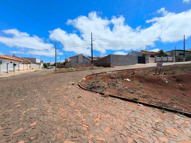 Terreno para Venda em Siqueira Campos - 4