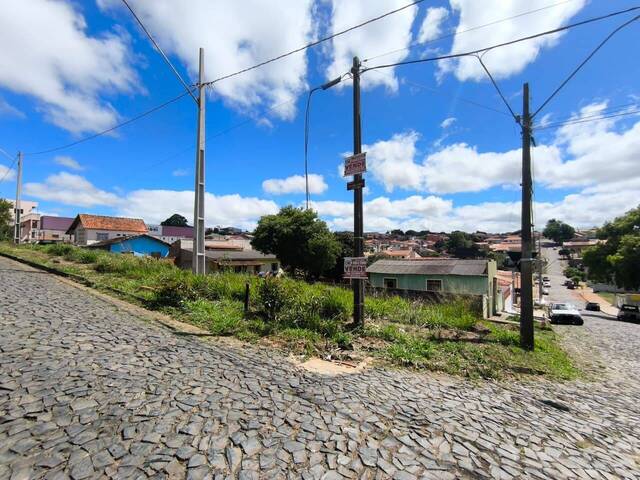 #4063 - Terreno para Venda em Siqueira Campos - PR - 1