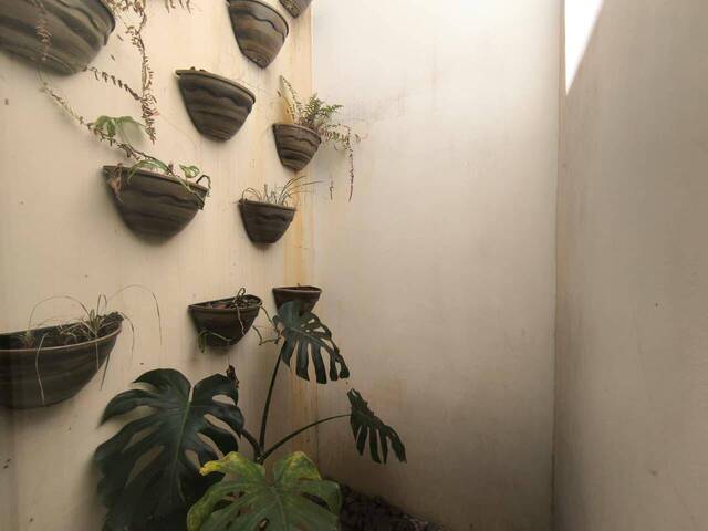 #4116 - Sala para Locação em Siqueira Campos - PR - 3