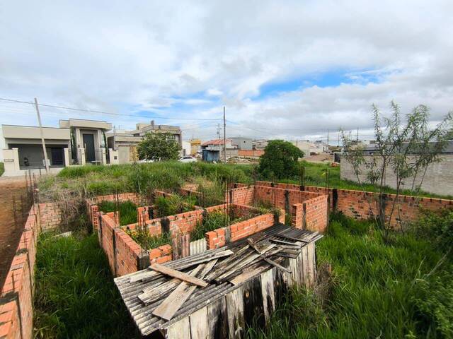 Terreno para Venda em Siqueira Campos - 4