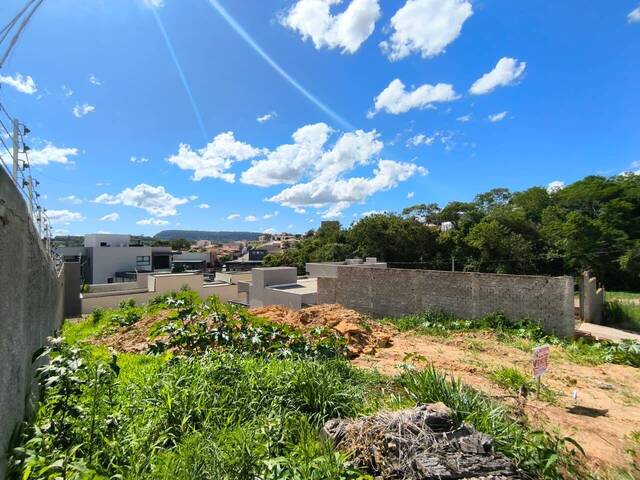 Terreno para Venda em Siqueira Campos - 5