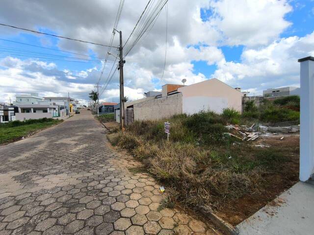 Terreno para Venda em Siqueira Campos - 4