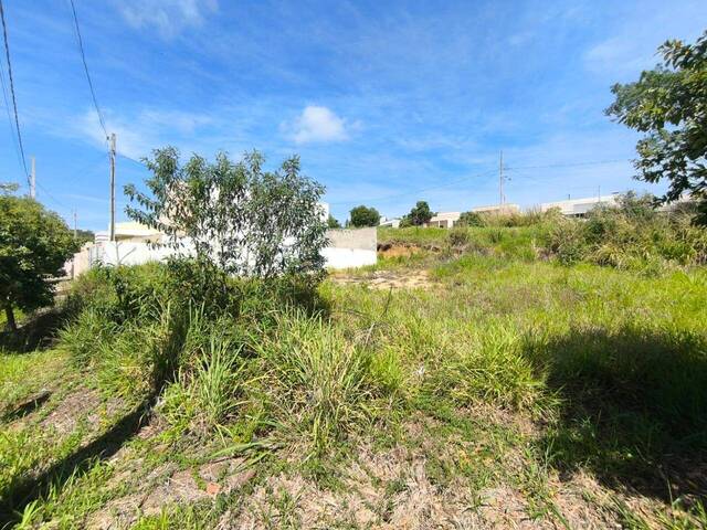 Terreno para Venda em Siqueira Campos - 4