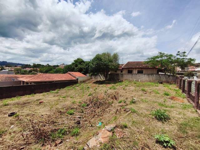 Terreno para Venda em Siqueira Campos - 4
