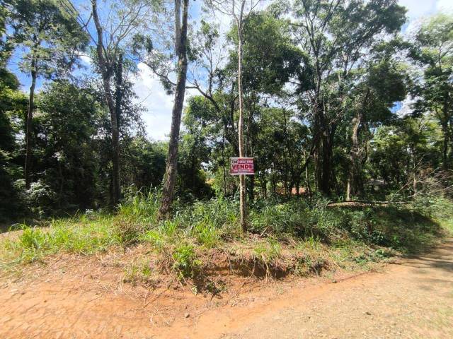 #4170 - Terreno para Venda em Siqueira Campos - PR - 1