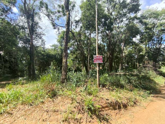 Terreno para Venda em Siqueira Campos - 4
