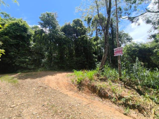 #4170 - Terreno para Venda em Siqueira Campos - PR - 3