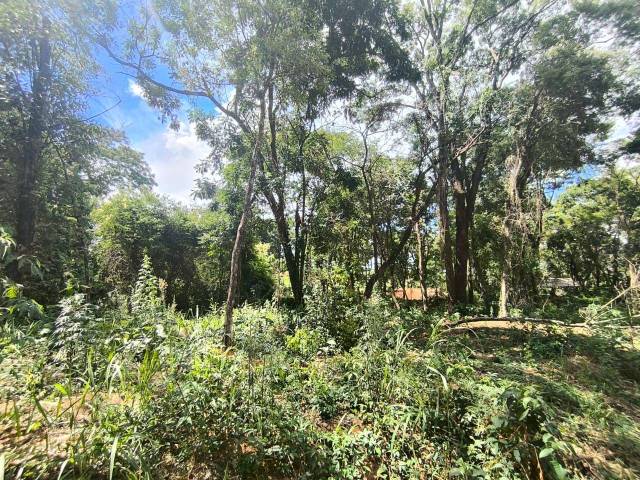 Terreno para Venda em Siqueira Campos - 5